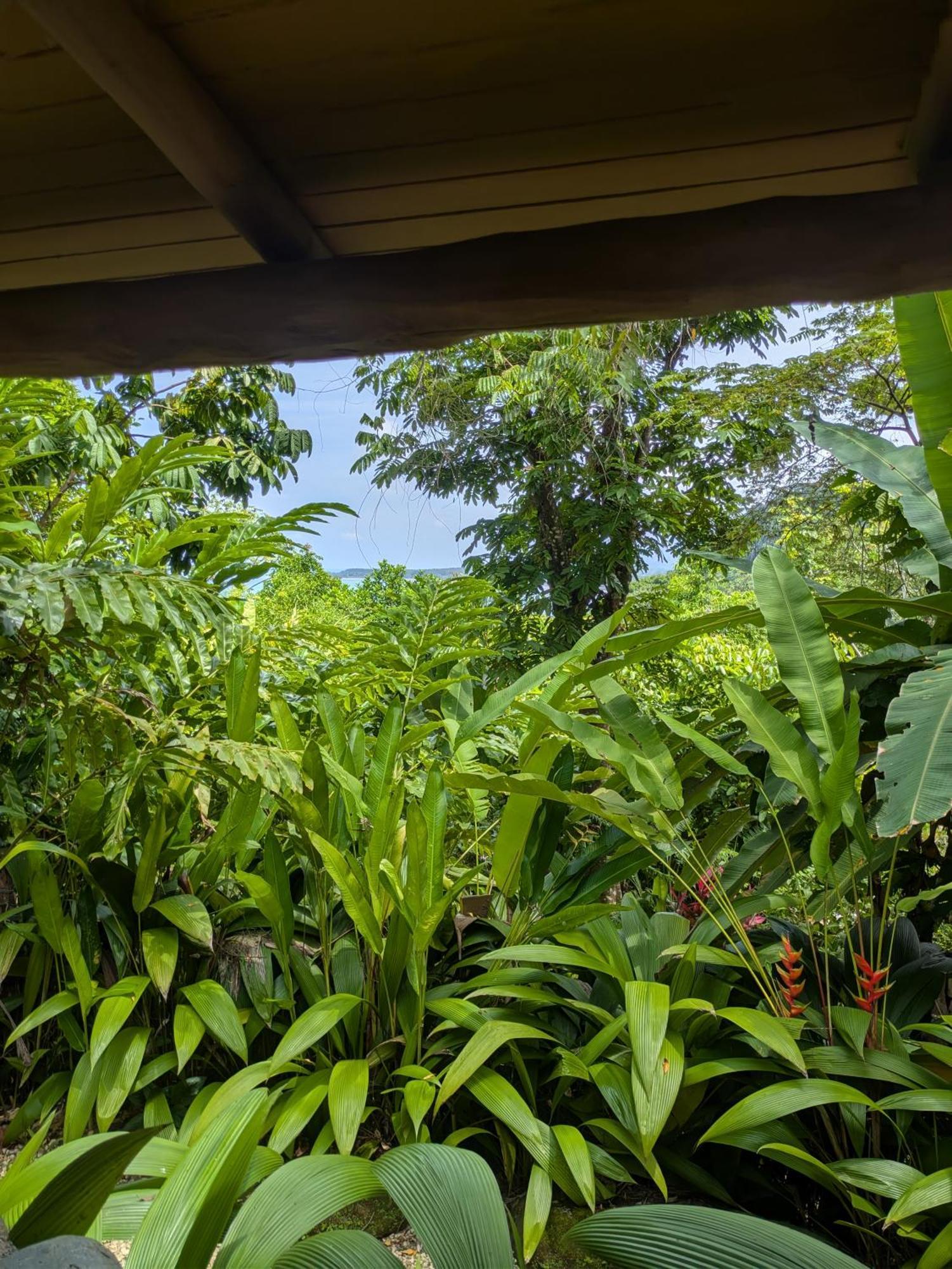 La Cusinga Lodge Uvita Exteriör bild